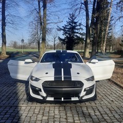 Jízda ve Ford Mustang 5.0 V8 GT Nový Bydžov