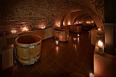 Luxusní pobyt pro dva na 3 noci na noblesním zámku Wichterle s wellness a pivní lázní