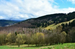 Restaurace Rendlík