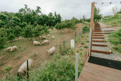 Úžasný Glamping u oveček na venkově jižní Moravy