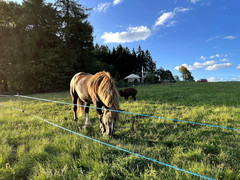 Úžasný glamping v jurtě na samotě uprostřed nádherné podkrkonošské přírody pro 2 osoby