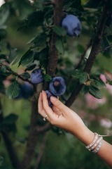 Glamping Boho jurta v Kostici u Břeclavi