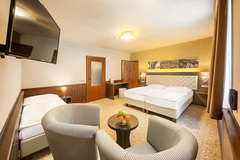 Relaxační pobyt v malebném Hotelu Zlatá hvězda Třeboň**** - dvoulůžkový pokoj