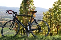 Vinařská cyklistická úniková hra krajinou Modrých Hor na jižní Moravě