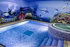 Wellness pobyt v Hotelu Centrum Harrachov