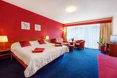 Wellness pobyt v Hotelu Centrum Harrachov