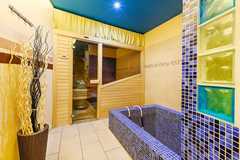 Wellness pobyt v Hotelu Centrum Harrachov