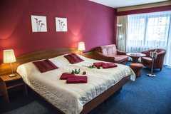 Wellness pobyt v Hotelu Centrum Harrachov
