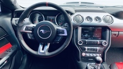 Jízda ve Ford Mustang GT 5.0 V8 Shelby kit