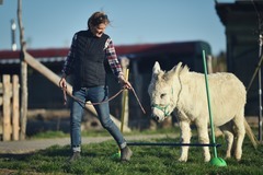 Den farmářem na zkoušku na oslí farmě v Českém ráji