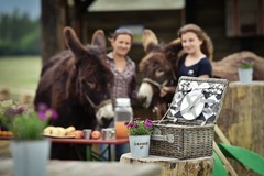 Den farmářem na zkoušku na oslí farmě v Českém ráji