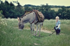 Den farmářem na zkoušku na oslí farmě v Českém ráji