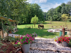 Den farmářem na zkoušku na oslí farmě v Českém ráji