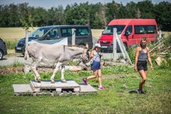 Den farmářem na zkoušku na oslí farmě v Českém ráji