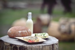 Den farmářem na zkoušku na oslí farmě v Českém ráji