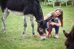 Půldenní výlet se dvěma oslíky, piknikem a svezením až pro 7 osob