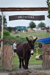 Rodinný pobyt na farmě v Českém ráji