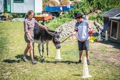 Rodinný pobyt na farmě v Českém ráji
