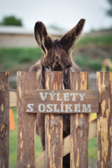 Rodinný pobyt na farmě v Českém ráji