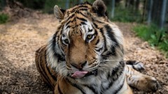 VIP prohlídka ZOO Tábor