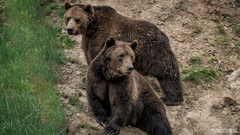 VIP prohlídka ZOO Tábor