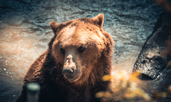VIP prohlídka ZOO Tábor