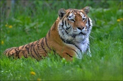 VIP prohlídka ZOO Tábor