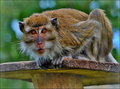 VIP prohlídka ZOO Tábor