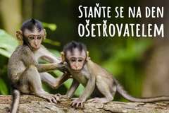 Ošetřovatelem v Zoo Tábor
