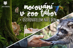 Nocování v Zoo Tábor a den ošetřovatelem