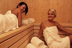 Resort Orsino - sauna