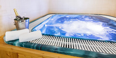 Hotel Gold Chotoviny