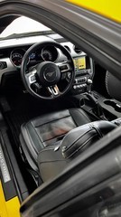 Pronájem Ford Mustang 2016 5.0 GT V8 Holice u Pardubic