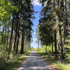 Glamping v srdci jižních Čech