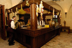 Skvělý wellness pobyt na krásném zámku Zbiroh pro 2 osoby na 6 dní