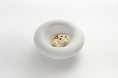 Zážitková noc v hotelu Bookquet se snídaní a degustační 6chodovou večeří