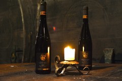 Prohlídka vinařství Habánské sklepy Velké Bílovice s degustací