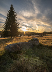 Pobyt v krásném Resortu Pasečná uprostřed šumavské přírody