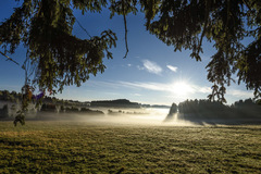 Pobyt v krásném Resortu Pasečná uprostřed šumavské přírody