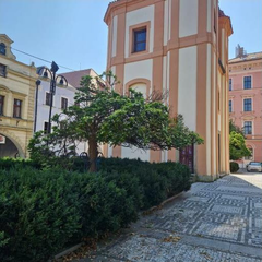 Severská krimi – České Budějovice