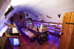 Romantický pobyt na historickém hradu Vildštejn se snídaní a degustační večeří pro 2 osoby