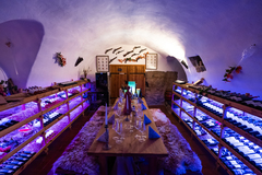 Romantický pobyt na historickém hradu Vildštejn se snídaní a degustační večeří pro 2 osoby