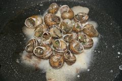 Degustační menu na šnečí farmě v Praze pro dva