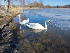 Po stopách tajného agenta - venkovní úniková hra ve Ždírci nad Doubravou
