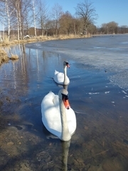 Po stopách tajného agenta - venkovní úniková hra ve Ždírci nad Doubravou
