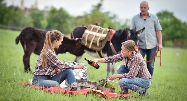 Půldenní výlet se dvěma oslíky, svezením a farmářským piknikem až pro 7 osob