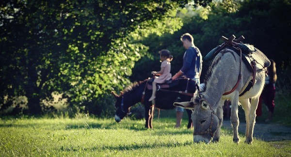 Rodinný pobyt na farmě v Českém ráji s nocováním v jurtě, piknikem a procházkou s oslíkem