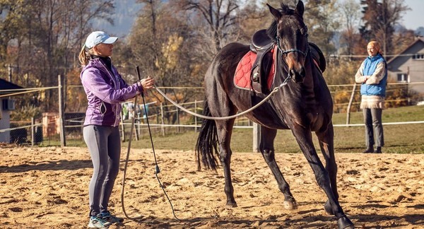 Intenzivní individuální kurz zacházení s koněm a prvních kroků v sedle pro začátečníky