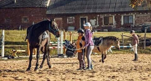Návštěva Zvířátkova s projížďkou na koni, krmením nebo procházkou pro rodinu