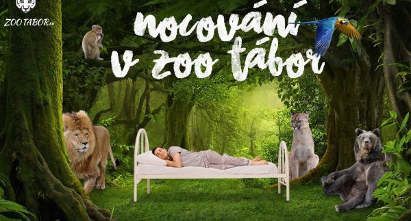 Nocování v ZOO Tábor mezi exotickými zvířaty